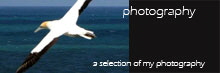 photography